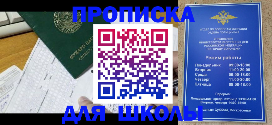 прописка регистрация в Бородино